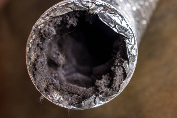 Best Affordable Duct Cleaning Services  in Four Corners, MD