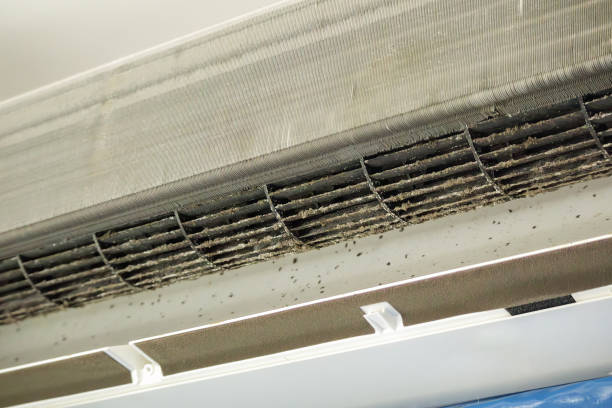 Best Air Quality Test  in Four Corners, MD